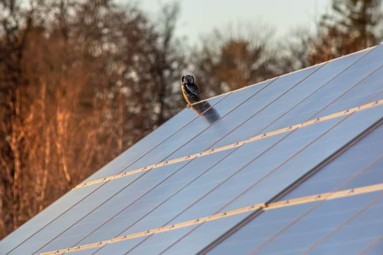 Adekwatts installateur panneaux solaires photovoltaiques