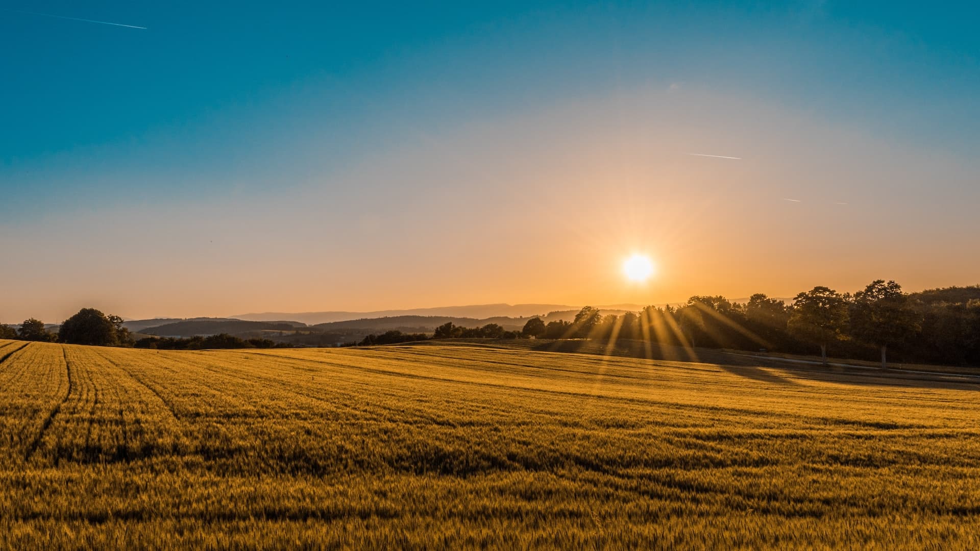 Du solaire en campagne