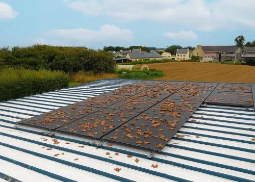 Panneaux solaires partiellement couverts de feuilles mortes, illustrant l’effet de l’ombre sur la production photovoltaïque